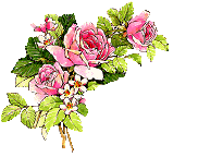 gul2.gif (11632 bytes)